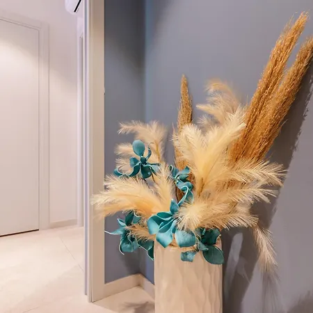 Welcome 4* 卡利亚里